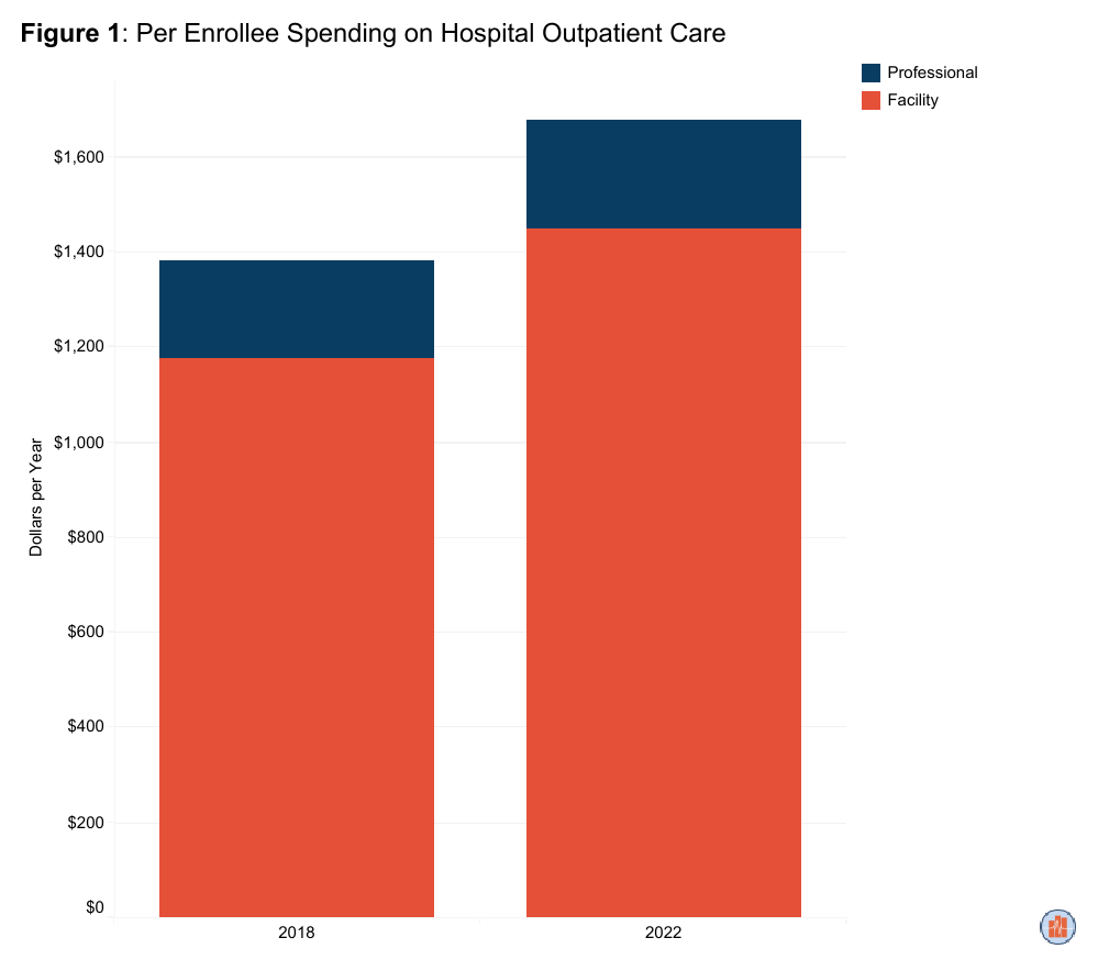 Assessing the Landscape of Hospital Outpatient Department Care
