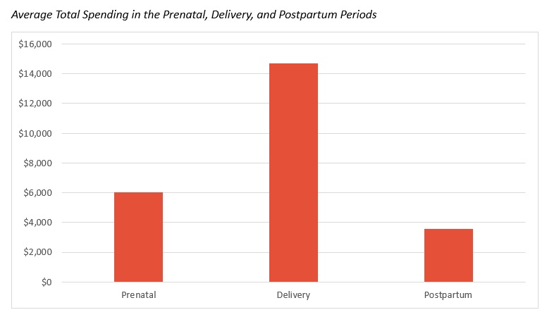 From Prenatal through Postpartum Care, it Cost More Than ,000 to Have a Baby on Average